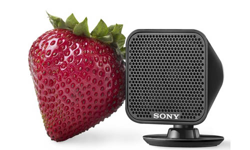 Sony HST-S100:   